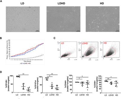 Human Tendon Stem/Progenitor Cell Features and Functionality Are Highly Influenced by in vitro Culture Conditions